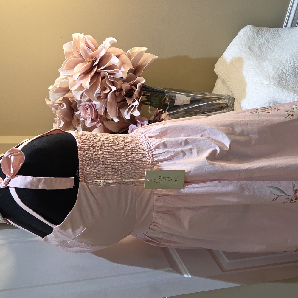 Nwt XL. Large. Medium Joie Light Pink Floral Maxi Dress  And Zipper In The Back - Picture 13 of 17